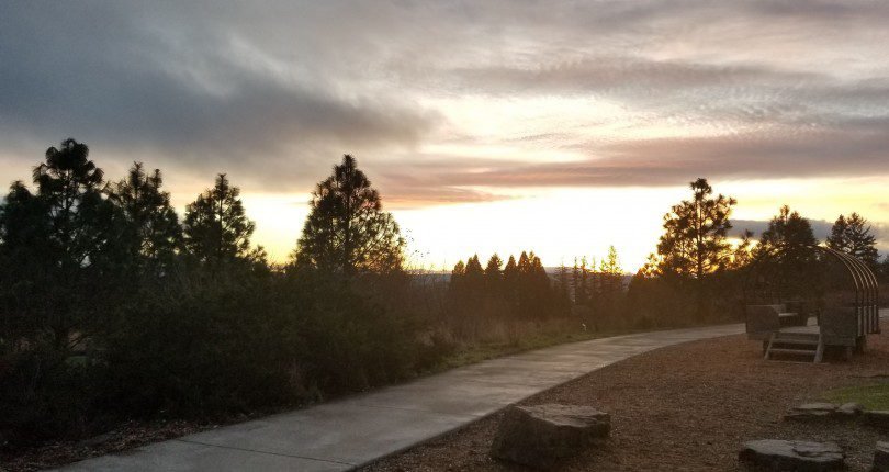 Jaycee Tours Cooper Mountain Nature Park