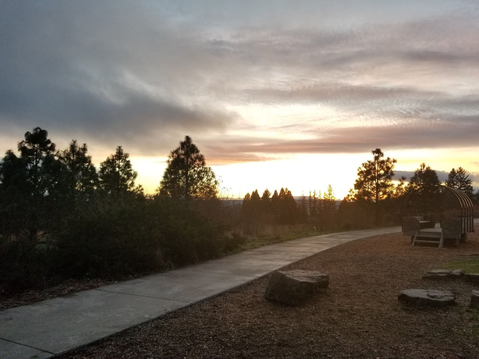 Jaycee Tours Cooper Mountain Nature Park