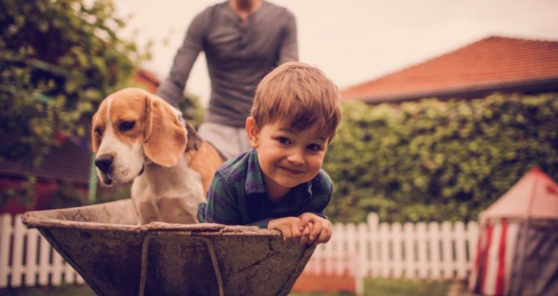 Here Are Some Of The Costs Of Owning A Dog