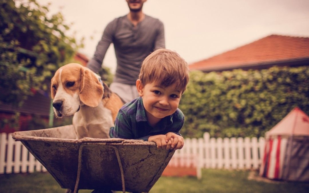 Here Are Some Of The Costs Of Owning A Dog