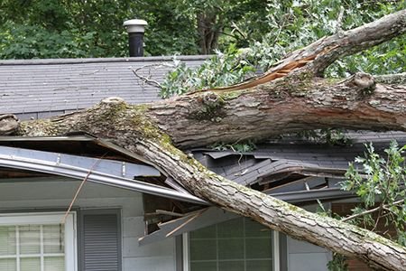 Wondering What Homeowners Insurance Covers For Your Roof