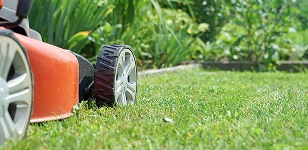 Newsletter June 2018