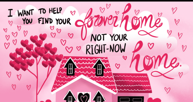 Discover Your Dream Love Nest